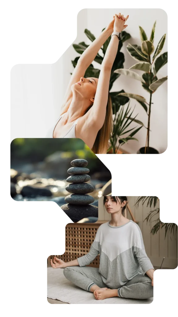 contacto estado de bienestar